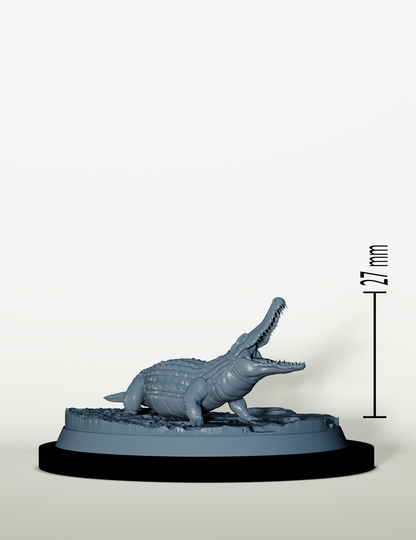 Dresseurs de Crocodiles