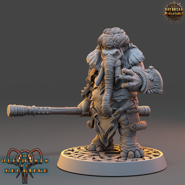 Set éléphant folk