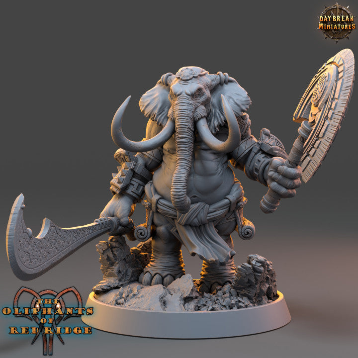 Set éléphant folk