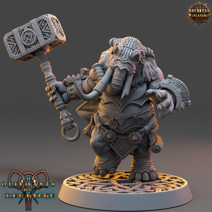 Set éléphant folk