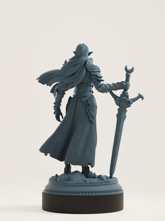Elfe drow - paladine du sanctuaire lunaire