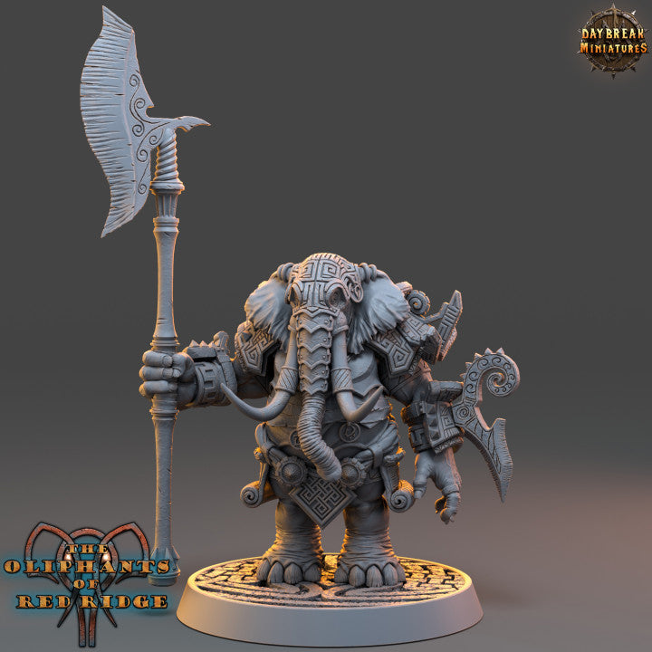 Set éléphant folk