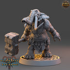 Set éléphant folk