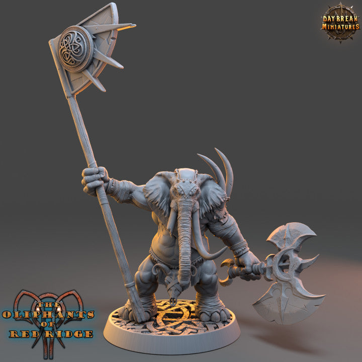 Set éléphant folk