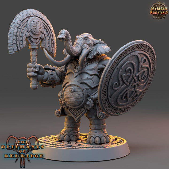 Set éléphant folk