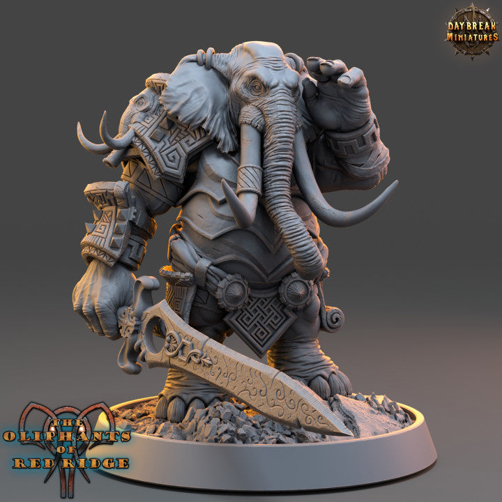 Set éléphant folk