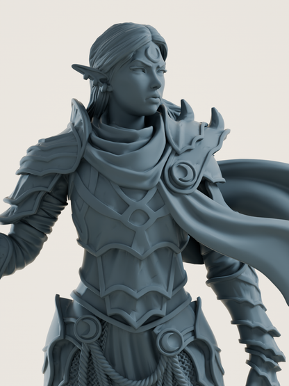 Elfe drow - paladine du sanctuaire lunaire