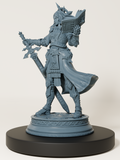 Paladin vengeresse