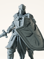 Paladin maudit