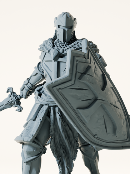 Paladin maudit