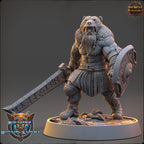 Set guerriers nordiques 3