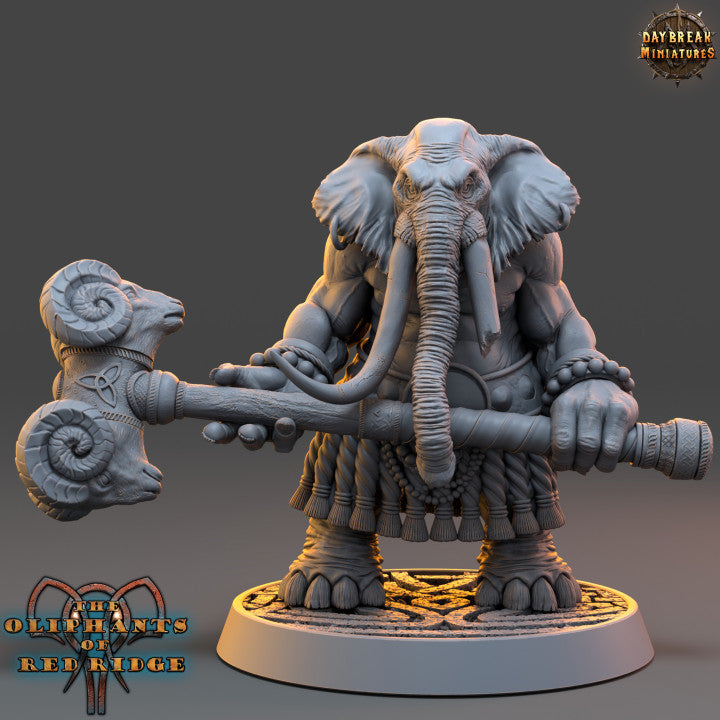 Set éléphant folk