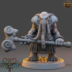 Set éléphant folk
