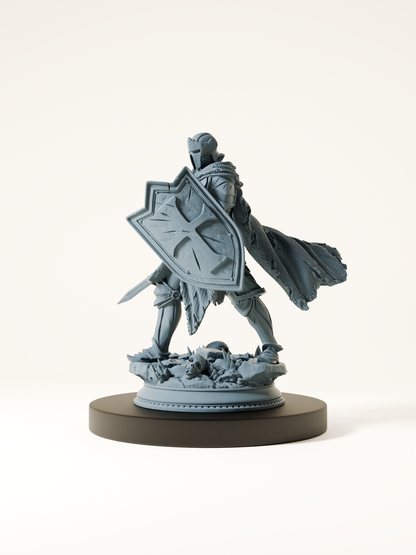 Paladin maudit