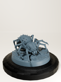 Set araignées géantes