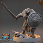 Set guerriers nordiques 3