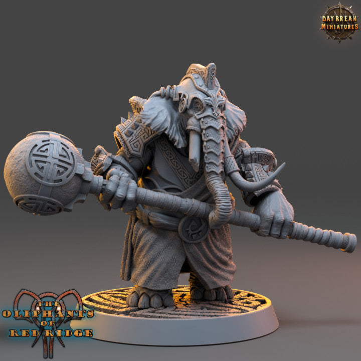 Set éléphant folk