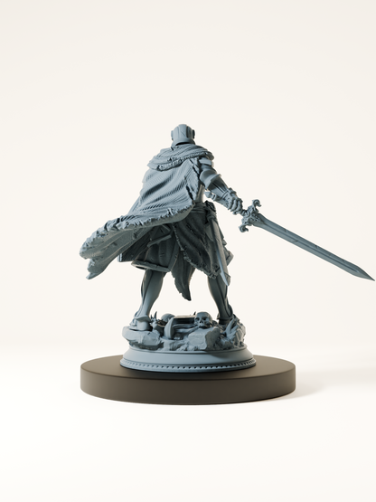 Paladin maudit